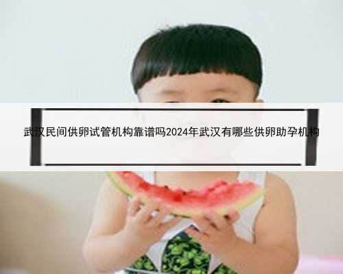武汉民间供卵试管机构靠谱吗2024年武汉有哪些供卵助孕机构