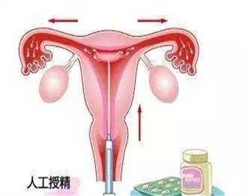 供卵代生网:圆形的成熟卵泡第二天萎缩变成椭圆形正常吗?